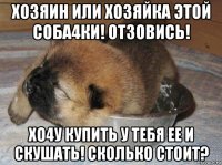хозяин или хозяйка этой соба4ки! отзовись! хо4у купить у тебя ее и скушать! сколько стоит?