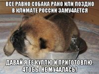 все равно собака рано или поздно в климате россии заму4ается давай я ее куплю и приготовлю. 4тобы не му4алась!