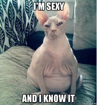 i'm sexy and i know it