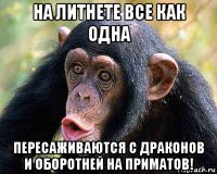 на литнете все как одна пересаживаются с драконов и оборотней на приматов!