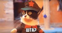  шта?