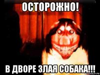 осторожно! в дворе злая собака!!!