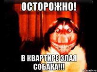 осторожно! в квартире злая собака!!!