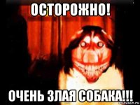 осторожно! очень злая собака!!!