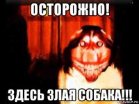 осторожно! здесь злая собака!!!