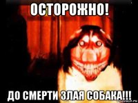 осторожно! до смерти злая собака!!!