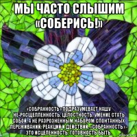 мы часто слышим «соберись!» «собранность» подразумевает нашу не-расщепленность, целостность, умение стать собой, а не разрозненным набором спонтанных переживаний, реакций и действий. «собранность» - это исцеленность, готовность быть.