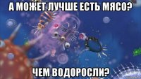 а может лучше есть мясо? чем водоросли?