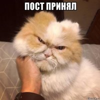 пост принял 
