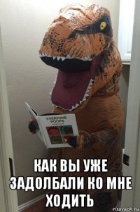  как вы уже задолбали ко мне ходить
