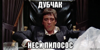 дубчак неси пилосос