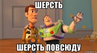 шерсть шерсть повсюду