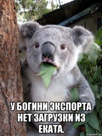  у богини экспорта нет загрузки из еката.