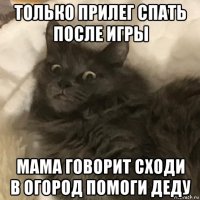 только прилег спать после игры мама говорит сходи в огород помоги деду