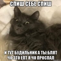спиш себе спиш и тут будильник а ты:блят чо это епт я чо проспал