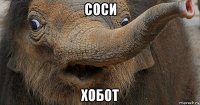 соси хобот