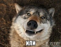  или