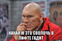  какая ж это сволочь в лифте гадит