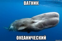 ватник океанический