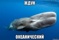 ждун океанический