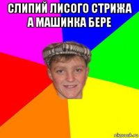 слипий лисого стрижа а машинка бере 