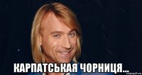  карпатськая чорниця...
