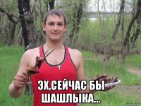  эх,сейчас бы шашлыка...