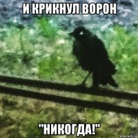 и крикнул ворон "никогда!"