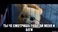  ты че смотришь ?хватай меня и беги