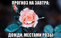 прогноз на завтра: дожди, местами розы