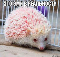 это эми в реальности 