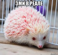 зми в реале 