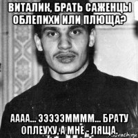 виталик, брать саженцы облепихи или плюща? аааа... эээээмммм... брату оплеуху, а мне - ляща.