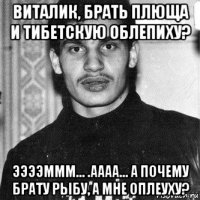 виталик, брать плюща и тибетскую облепиху? ээээммм... .аааа... а почему брату рыбу, а мне оплеуху?