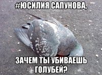 #юсилия сапунова, зачем ты убиваешь голубей?