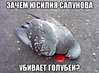 3ачем юсилия сапунова убивает голубей?