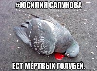 #юсилия сапунова ест мёртвых голубей.