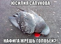 юсилия сапунова нафига жрёшь голобей?!