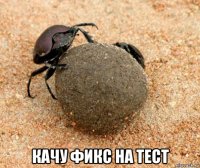  качу фикс на тест