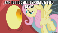 как ты посмел обижать моего друга 
