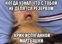 когда узнал что с тобой не делятся резервом *крик испуганной мартышки