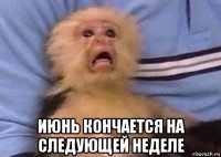  июнь кончается на следующей неделе