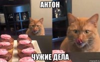 антон чужие дела