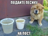 подайте пёсику на пост
