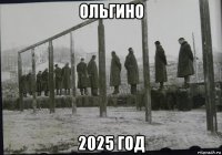 ольгино 2025 год