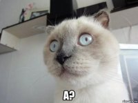 а?