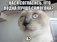 - вася согласись, что водка лучше самогона? а?