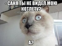 - саня ты не видел мою котлету? а?