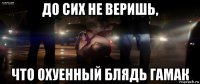 до сих не веришь, что охуенный блядь гамак