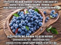 пропонуємо вам яфини . зібрані, у високогір'ї карпат, власними руками . яфини, з невеликою кількістю, листя з кущиків яфин . відправляємо яфини, по всій україні . +380966636298 +380999067097 +380661112197 (whatsapp/viber) ігор та єва